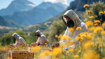 🐝All about Green Propolis – FAQ