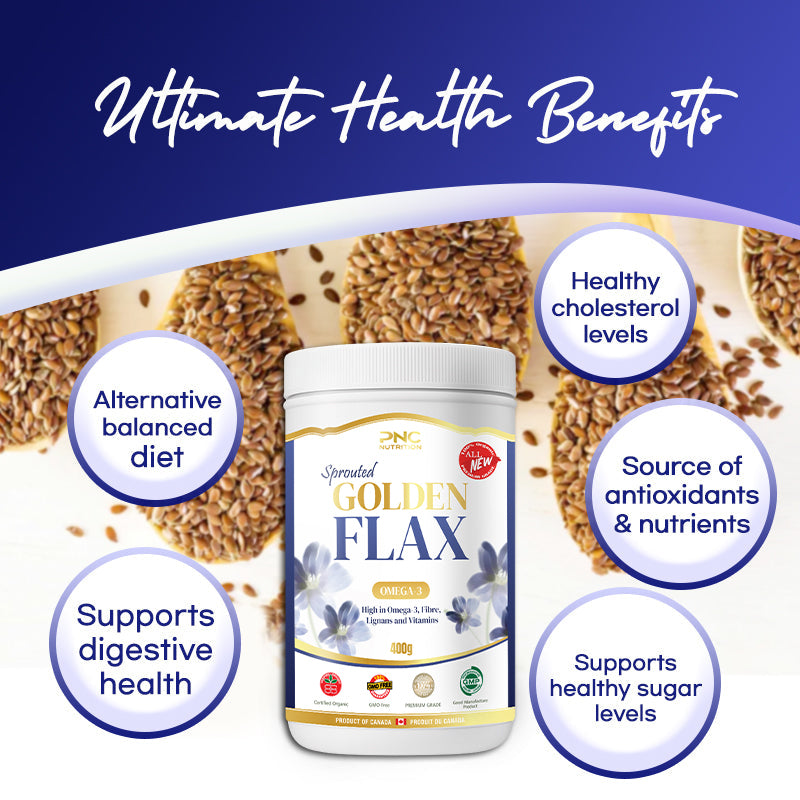 
                  
                    PNC Golden Sprouted Flax Omega 3 – Plant-Based Nutrition Support, 400g
                  
                