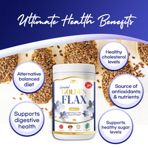 
                  
                    PNC Golden Sprouted Flax Omega 3 – Plant-Based Nutrition Support, 400g
                  
                