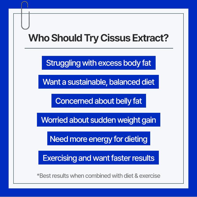
                  
                    PNC Cissus 100x Extract - Dietary Supplement, 120 Capsules
                  
                