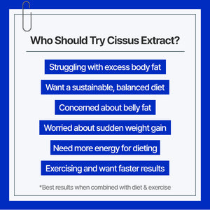 
                  
                    PNC Cissus 100x Extract - Dietary Supplement, 120 Capsules
                  
                