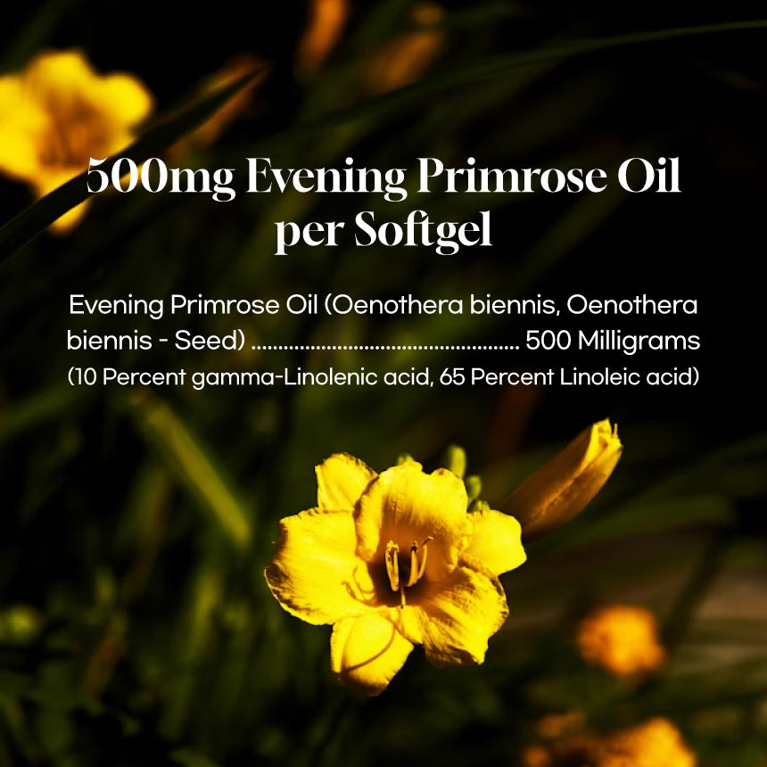 
                  
                    PNC EPO Evening Primrose Oil Premium - Women’s Health Support, 180 Capsules
                  
                