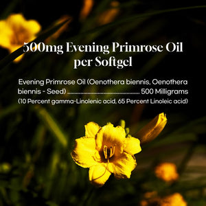 
                  
                    PNC EPO Evening Primrose Oil Premium - Women’s Health Support, 180 Capsules
                  
                