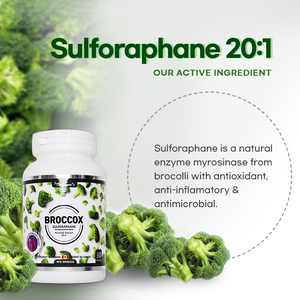 
                  
                    Broccox | Sulforaphane (Broccoli Extract)
                  
                