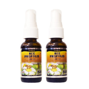 
                  
                    Nature Bee Propolis Spray | Alcohol Free | 30ml - PNC Pure Natures Canada
                  
                