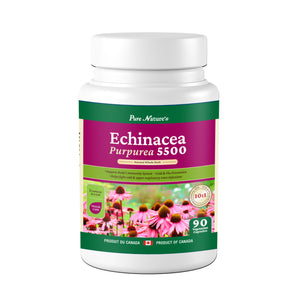 
                  
                    Echinacea | Herb Purpurea 5500 - PNC Pure Natures Canada
                  
                